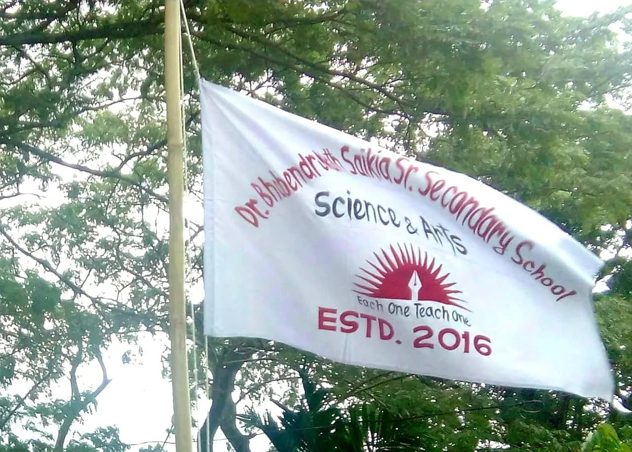 DBNSS School Flag